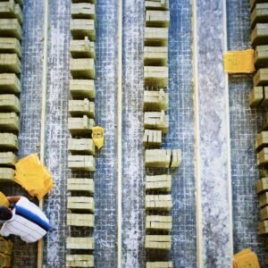 pexels-tkirkgoz-29764115